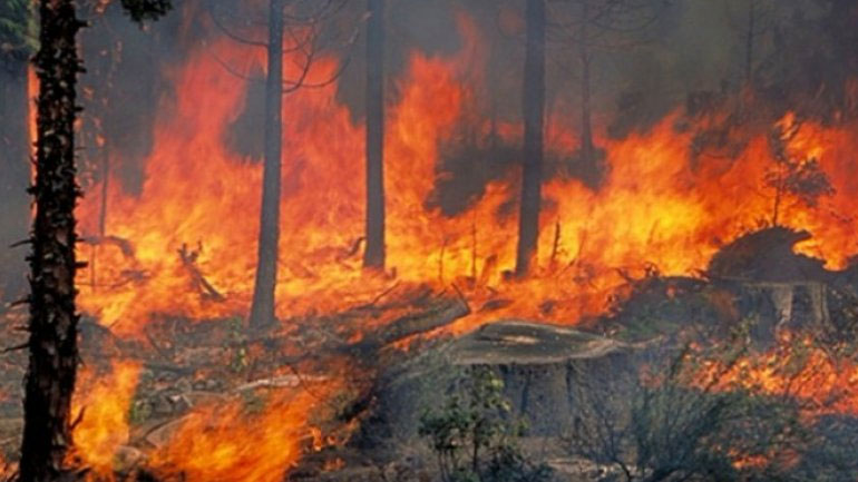 Τριήμερος συναγερμός για πυρκαγιές – Οδηγίες προς τους πολίτες από τον γενικό γραμματέα Πολιτικής Προστασίας