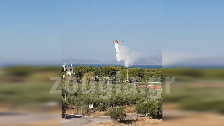 Πυρκαγιά και στον Άγιο Ανδρέα στο Ζούμπερι – Εκκενώθηκαν παιδικές κατασκηνώσεις