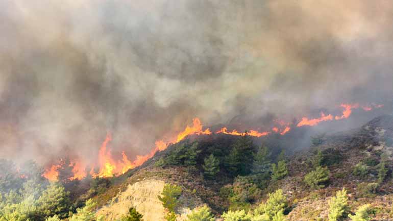 Ξέσπασαν 59 δασικές πυρκαγιές σε 24 ώρες