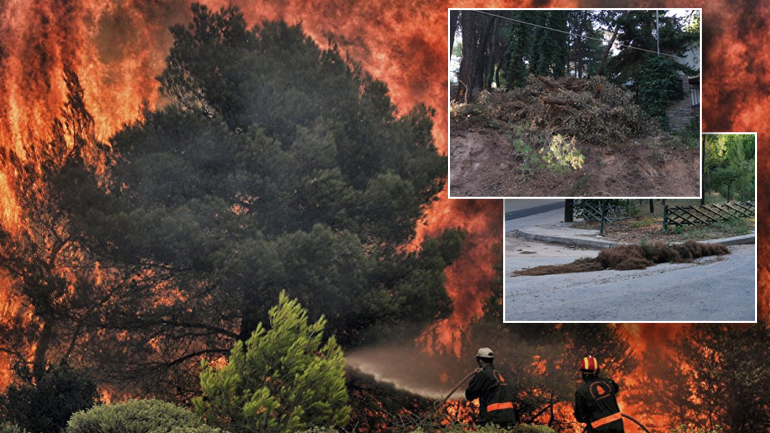 Βουνά από ξερόχορτα σε Διόνυσο, Εκάλη και Κηφισιά