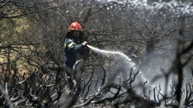 Κεφαλονιά: Υπό μερικό έλεγχο η πυρκαγιά στον Άγκωνα