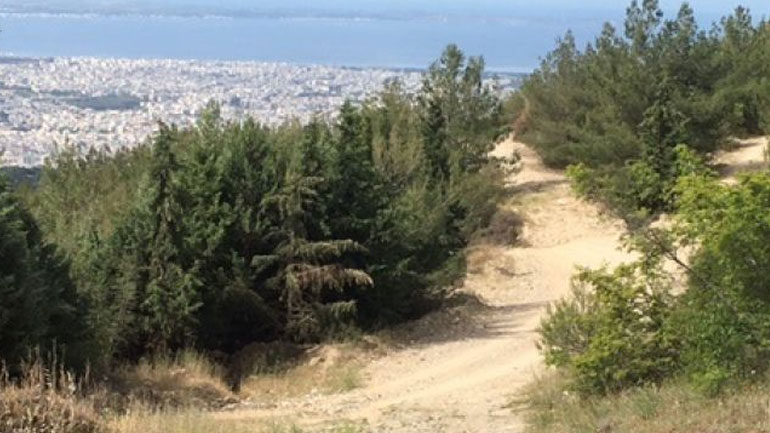 Συνεχίζεται η απαγόρευση κυκλοφορίας σε περιοχές της Χαλκιδικής και στο Σέιχ Σου
