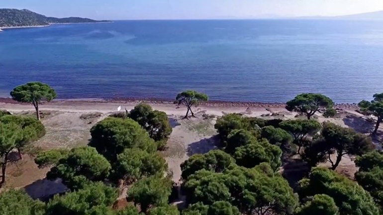 Απαγόρευση κυκλοφορίας στο Εθνικό Πάρκο Σχινιά – Μαραθώνα