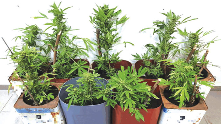 Συνελήφθη αστυνομικός στη Pόδο για διακεκριμένη διακίνηση ναρκωτικών