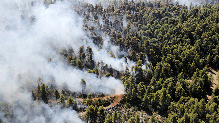 Φωτιά στην Εύβοια: Προβληματίζουν οι αναζωπυρώσεις και οι εστίες σε δύσβατα σημεία