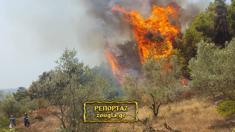 Μεγάλος κίνδυνος από τις αναζωπυρώσεις στην Εύβοια – Δείτε τι κατέγραψε ο φακός τους zougla.gr