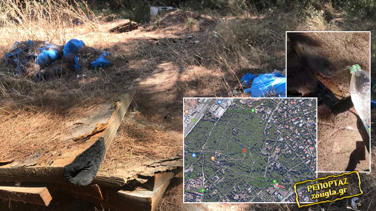 Πιθανή απόπειρα εμπρησμού σε δάσος της Εκάλης