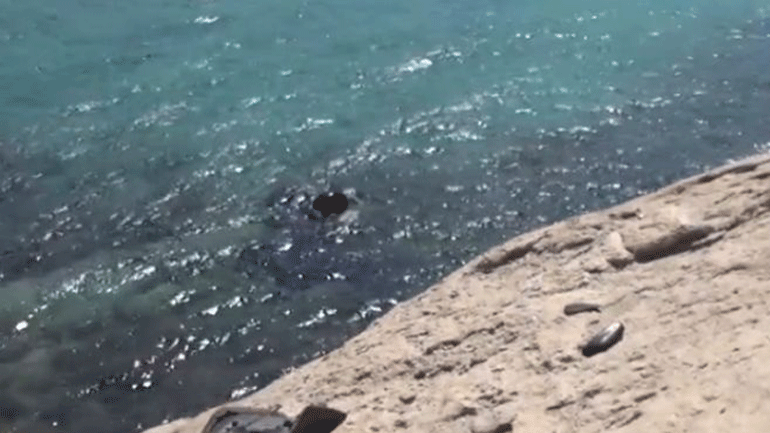 Μύκονος: Νεκρός τουρίστας σε τροχαίο με «γουρούνα»