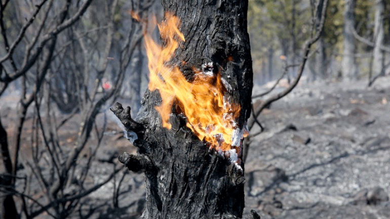 Δύο συλλήψεις για εμπρησμούς σε Μεσσηνία και Ηλεία