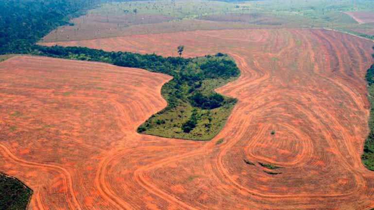 Βραζιλία: Η Νορβηγία παγώνει την καταβολή  35 εκατομμυρίων ευρώ λόγω καταστροφής του Αμαζονίου