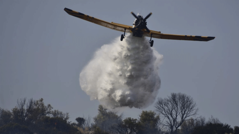 Φωτιά σε ελατόδασος της Φθιώτιδας από κεραυνό