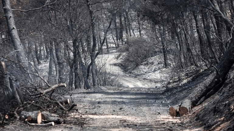 Συνεχίζεται η προσπάθεια κατάσβεσης στην Εύβοια – Σε επιφυλακή οι Αρχές