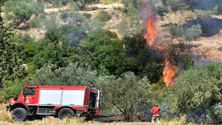 Πάργα: Πυρκαγιά σε δάσος στην περιοχή Μουζακαίικα
