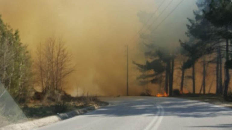Κοζάνη: Υπό έλεγχο η φωτιά στην Ελάτη