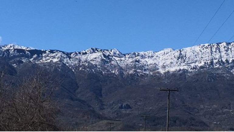 Τρίκαλα: Αξιοποιούνται τα φαρμακευτικά φυτά του Κόζιακα