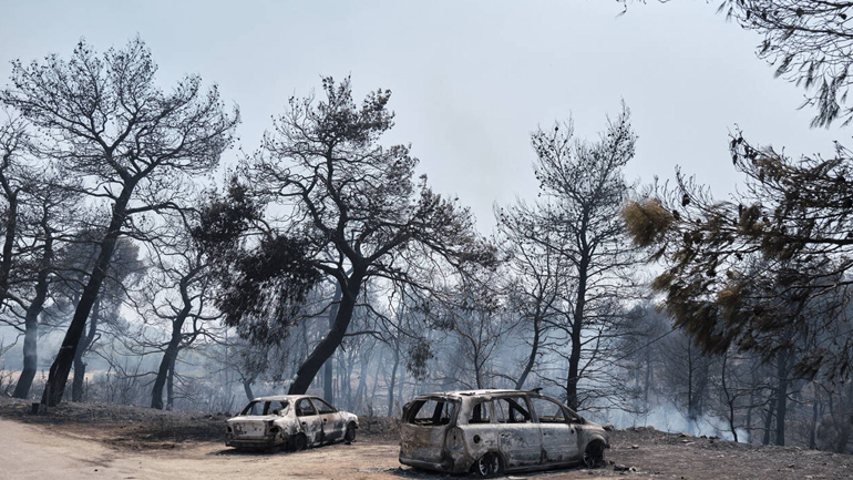 Σε εμπρησμό οφείλεται η πυρκαγιά στην Εύβοια
