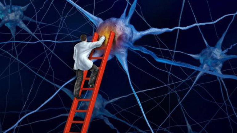 Έλληνες επιστήμονες ανατρέπουν την υπάρχουσα θεωρία λειτουργίας των εγκεφαλικών κυττάρων