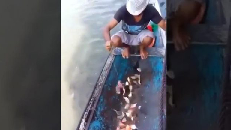 Εύκολος τρόπος να ψαρέψεις πιράνχας