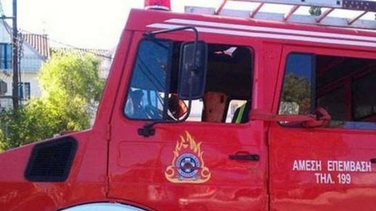 Φωτιά σε δασική έκταση στο Αμύνταιο Φλώρινας