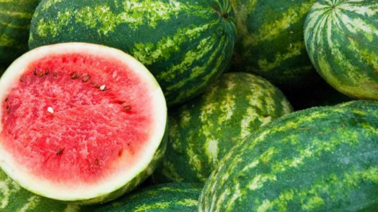 Πειραιάς: Δέσμευσαν 28 τόνους ακατάλληλα καρπούζια στου Ρέντη