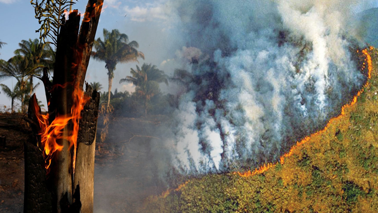 Σοκ και δέος στον Αμαζόνιο