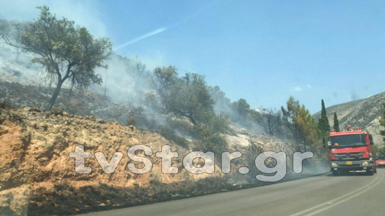 Δύο φωτιές ξέσπασαν στη Βοιωτία – Καίγονται δάση σε Άσπρα Σπίτια και Ακραίφνιο Δύο φωτιές ξέσπασαν στη Βοιωτία – Καίγονται δάση σε Άσπρα Σπίτια και Ακραίφνιο
