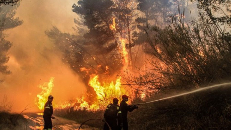 Αχαΐα: Μεγάλη φωτιά σε δάσος ανάμεσα σε Σανταμέρι και Πολύμορφο