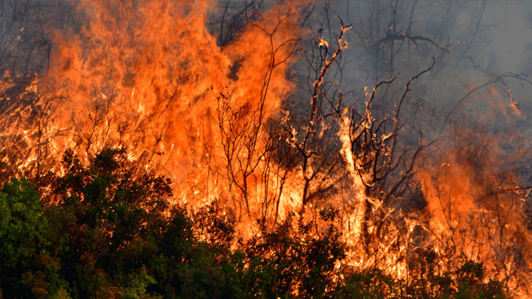 Πυροσβεστική: Εκδηλώθηκαν 45 δασικές πυρκαγιές το τελευταίο 24ωρο