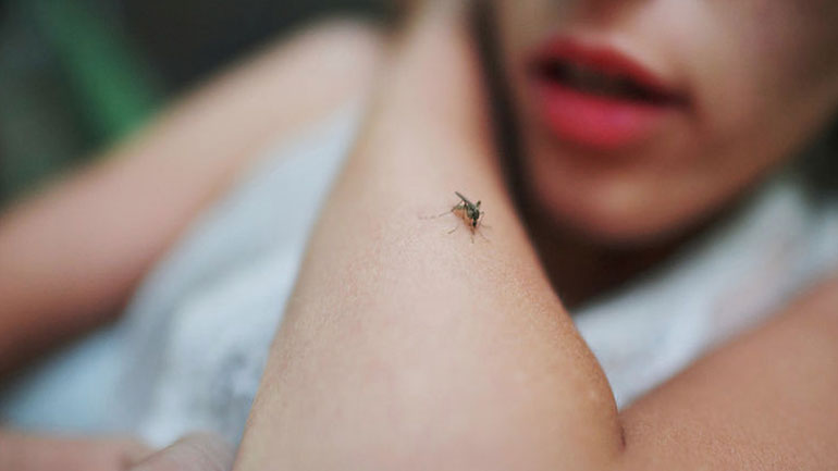 Στα μέτρα ατομικής προφύλαξης από τα κουνούπια εφιστά την προσοχή ο ΙΣΑ