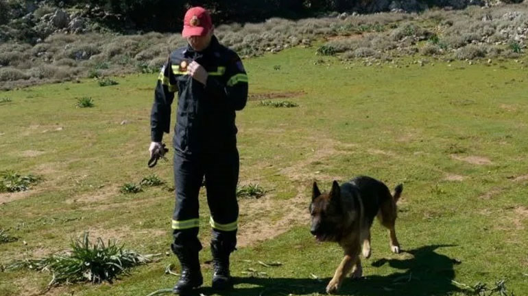 Φθιώτιδα: Σώος εντοπίστηκε ο ηλικιωμένος που είχε εξαφανιστεί από τη Λυκόβρυση