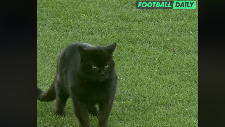 Γάτος… χούλιγκαν διακόπτει αγώνα της Έβερτον