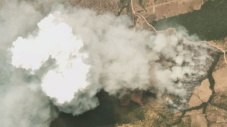 Πυρκαγιές στον Αμαζόνιο: Βασική αιτία η παγκόσμια δίψα για το βοδινό κρέας και τη σόγια από τη Βραζιλία