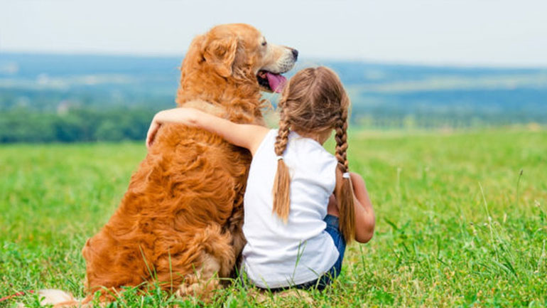 Έξι ράτσες σκύλων ιδανικές για οικογένεια