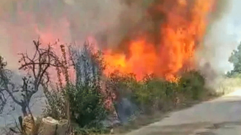 Σε εξέλιξη φωτιά στη Νέα Κίο Αργολίδας