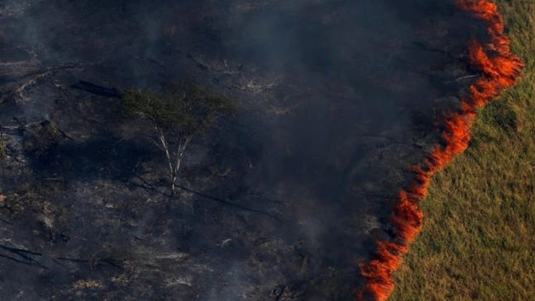 Βραζιλία: Το τροπικό δάσος του Αμαζονίου εξακολουθεί να φλέγεται, παρά την κινητοποίηση του στρατού