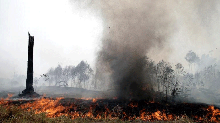 G7: Έκτακτη βοήθεια 20 εκατ. δολαρίων για την αποστολή Canadair στον Αμαζόνιο