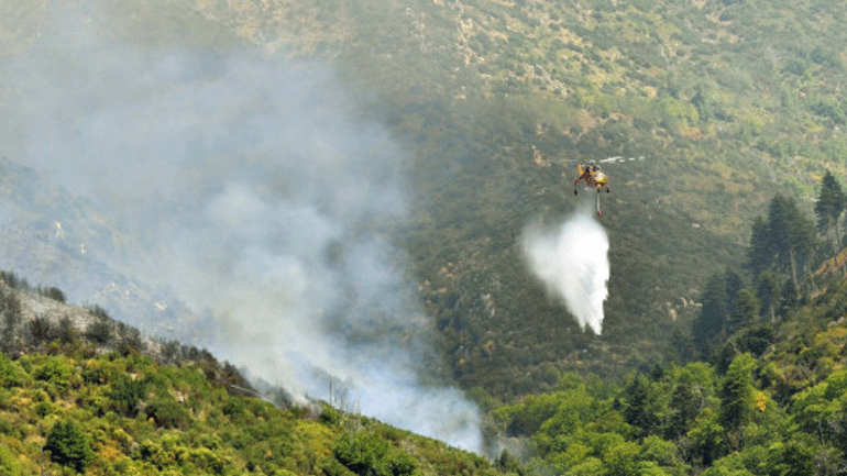 Πυροσβεστική: Εκδηλώθηκαν 55 δασικές πυρκαγιές το τελευταίο 24ωρο