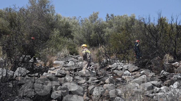 Σε ύφεση η πυρκαγιά σε δάσος του Μαραθώνα – Μεγάλη επιχείρηση της Πυροσβεστικής