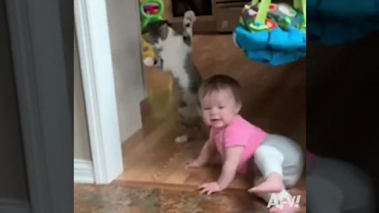 Το μωρό τρόμαξε τη γάτα