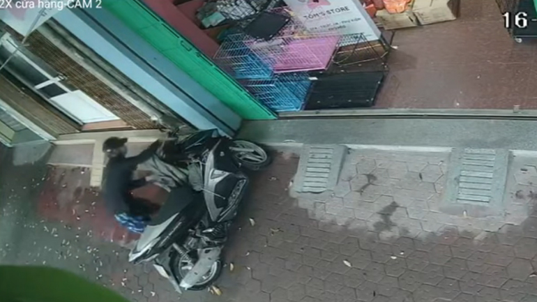 Γενναίο κουτάβι τρομάζει κλέφτη