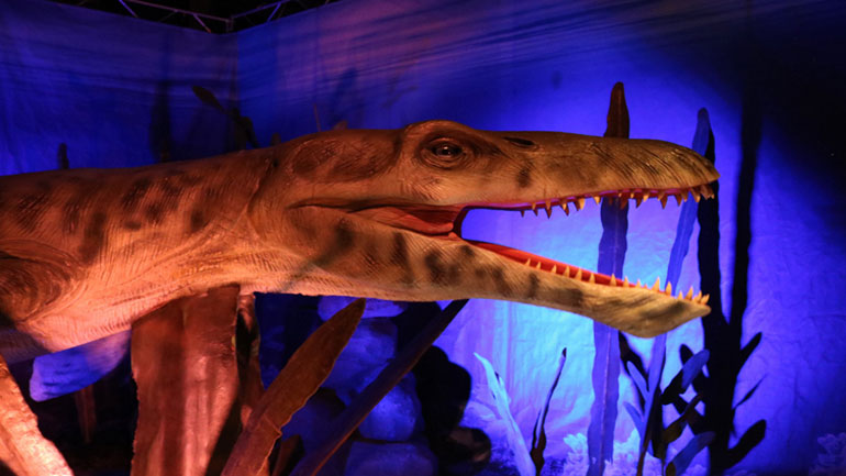 Παράταση για τους Δεινοσαύρους και τα Τέρατα των Θαλασσών στον «Ελληνικό Κόσμο»