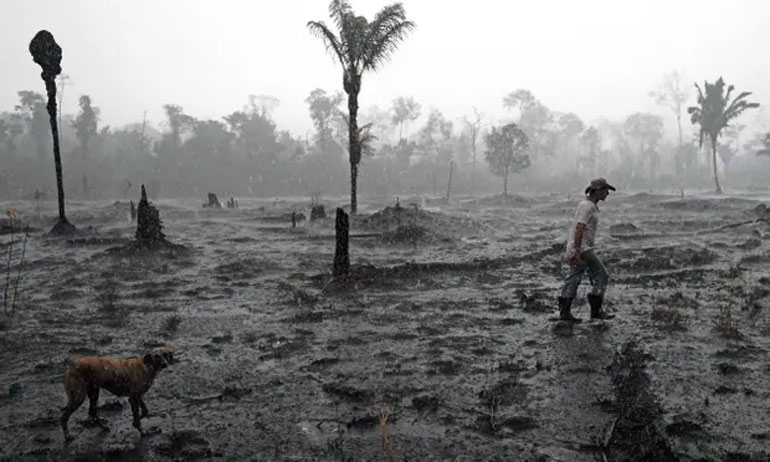Eικόνες καταστροφής από τον Αμαζόνιο
