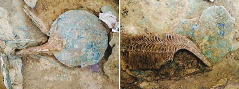 Ο καθρέφτης και η χτένα του Γρύπα Πολεμιστή.