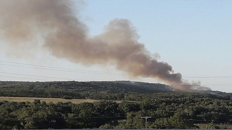 Σε εξέλιξη πυρκαγιά σε δασική έκταση στον Έβρο