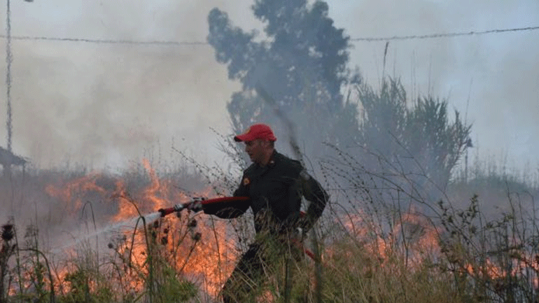 Πυροσβεστική: Εκδηλώθηκαν 46 δασικές πυρκαγιές το τελευταίο 24ωρο