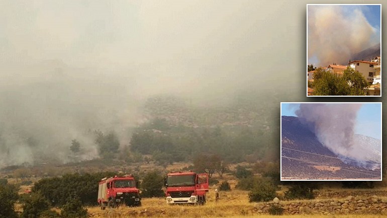 Αισιόδοξοι οι πυροσβέστες για το μέτωπο στους Δελφούς – Δείτε εικόνες από την επιχείρηση κατάσβεσης