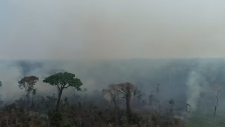 Εναέριες εικόνες από την τεράστια καταστροφή στον Αμαζόνιο