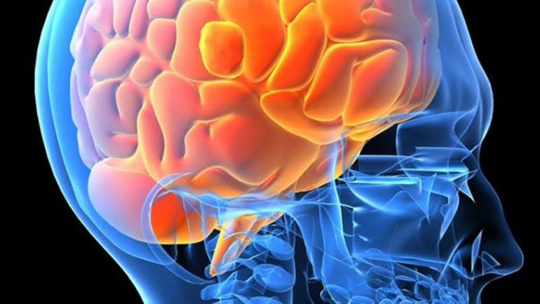 Η προγεννητική έκθεση σε φυτοφάρμακα συνδέεται με αλλαγές στην εγκεφαλική δραστηριότητα των εφήβων