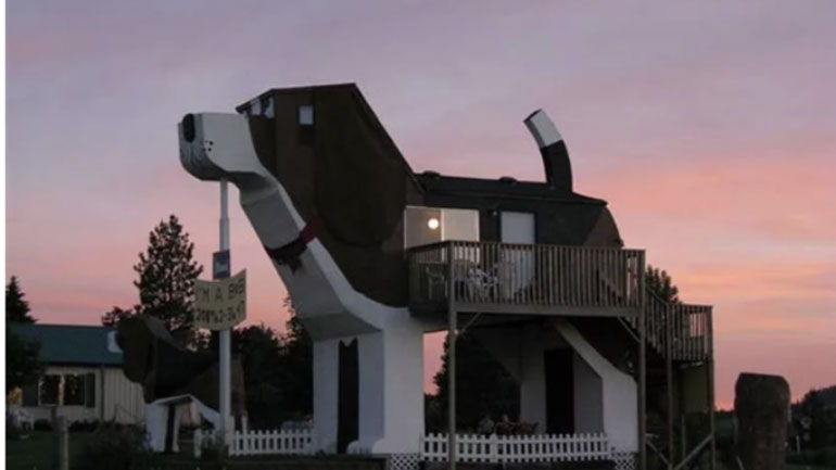 Εσείς έχετε μείνει ποτέ μέσα σε γιγάντιο σκυλί;