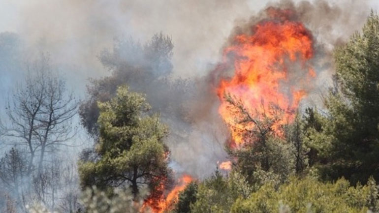 Καίγεται δάσος στο Παλατιανό Κιλκίς